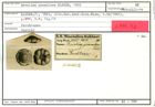 Karteikarte zum Holotyp von Rosalina granulosa Karrer, 1865